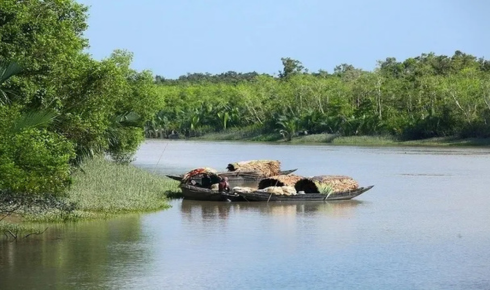 Explore the Untamed Beauty of Nature with an Unforgettable Sundarban Trip Sundarban trip